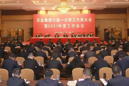 苏盐集团隆重召开六届一次职工代表大会